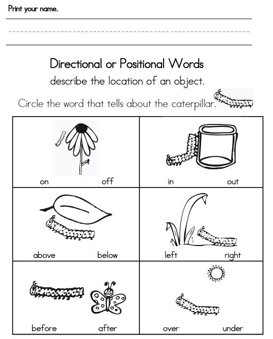 Positional Words Worksheets 99Worksheets