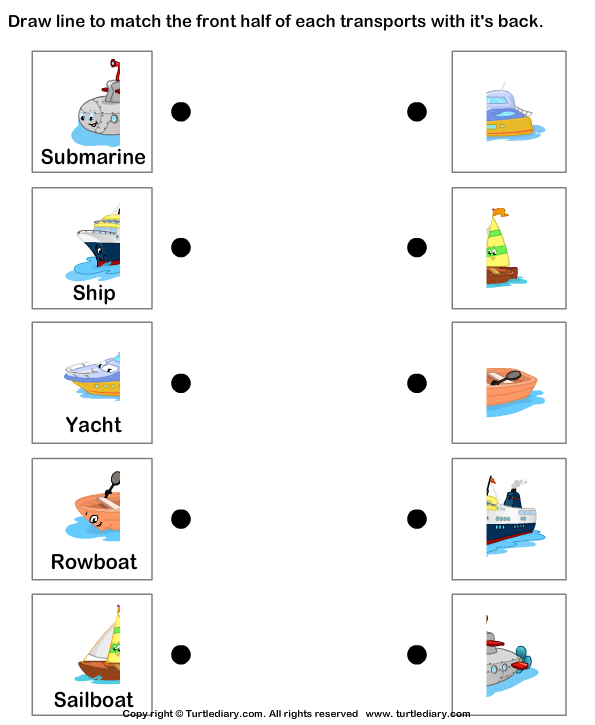 Water Transport Worksheet And Coloring Pages