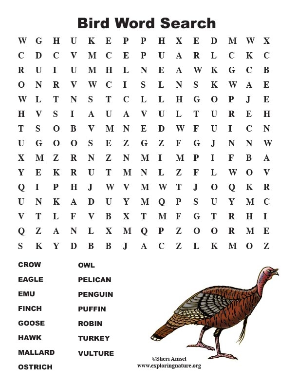 Bird Word Search Middle