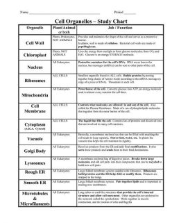 Functions Of Cell Organelles