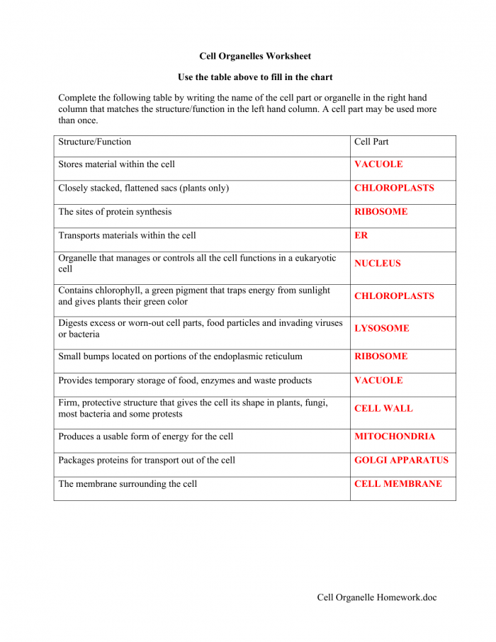 Functions Of Cell Organelles Worksheets | 99Worksheets