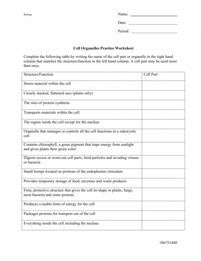 Cell Organelles And Functions Worksheet Answers