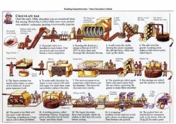 How Chocolate Is Made