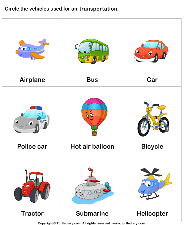 Download And Print Turtle Diarys Air Transportation Worksheet