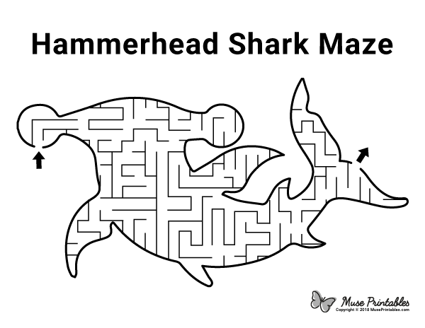 Free Printable Hammerhead Shark Maze Download It At Https
