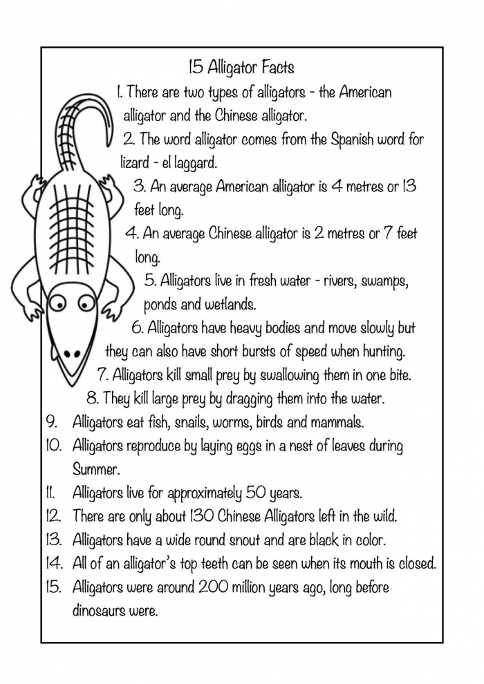 Free Teacher Worksheets