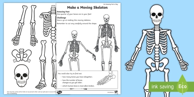 Make A Moving Skeleton Worksheet