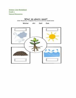 Natural Resources: Soil