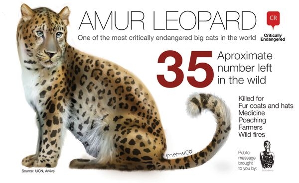 Pin By Leeann Hernandez On Infographics