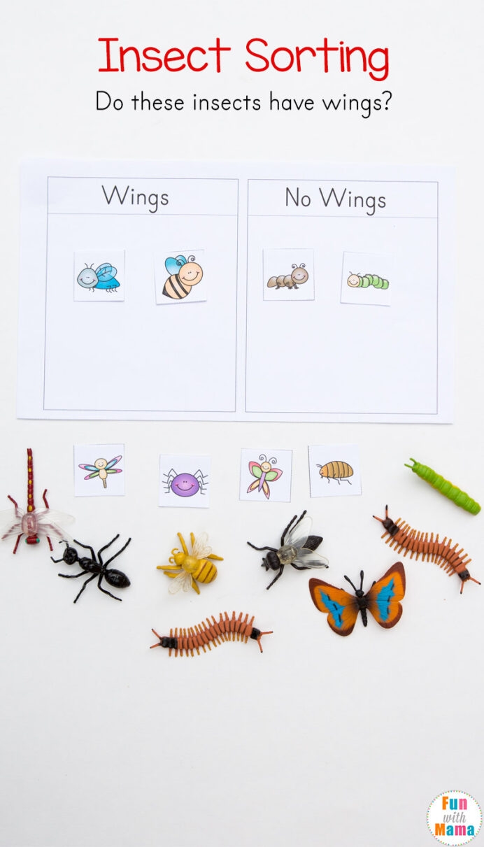Preschool Insect Theme Sorting Worksheet Bug Activities Fun