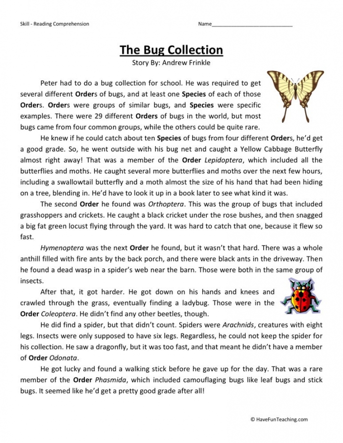 Reading Comprehension Worksheet