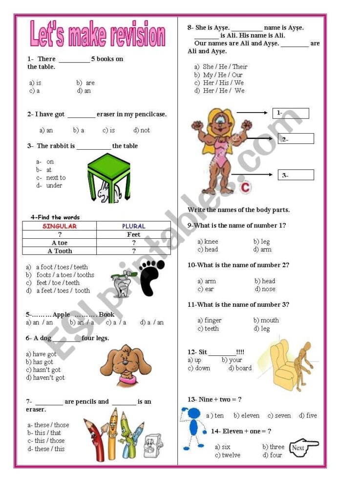 Revision Test For Beginners Esl Worksheet By Spring English