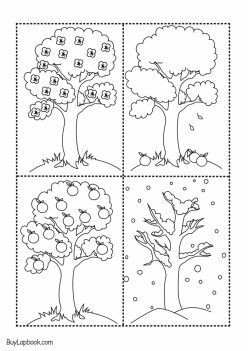 How Does It Grow? Apple Tree