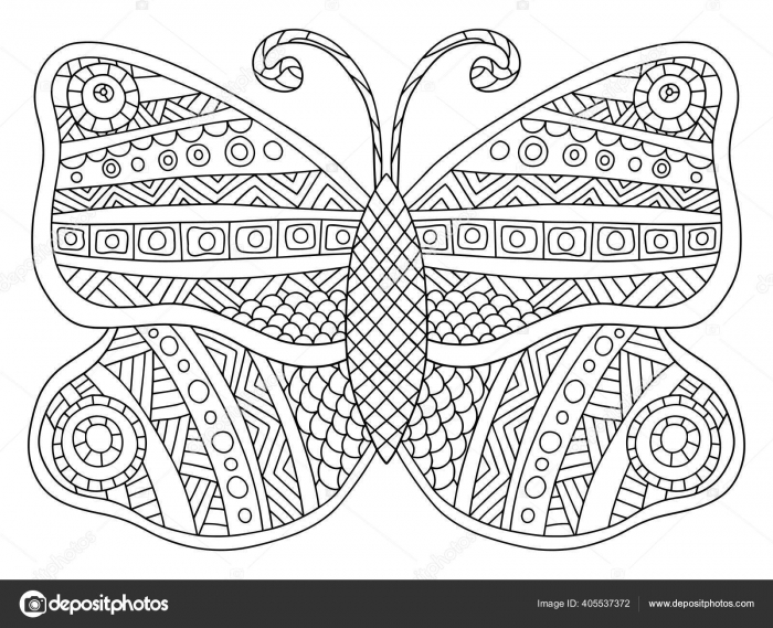 Detailed Ornamental Symmetry Butterfly Vector Coloring Page