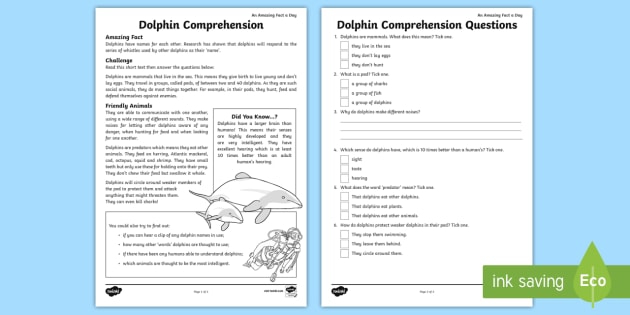 Dolphin Comprehension Worksheet  Worksheet Teacher Made