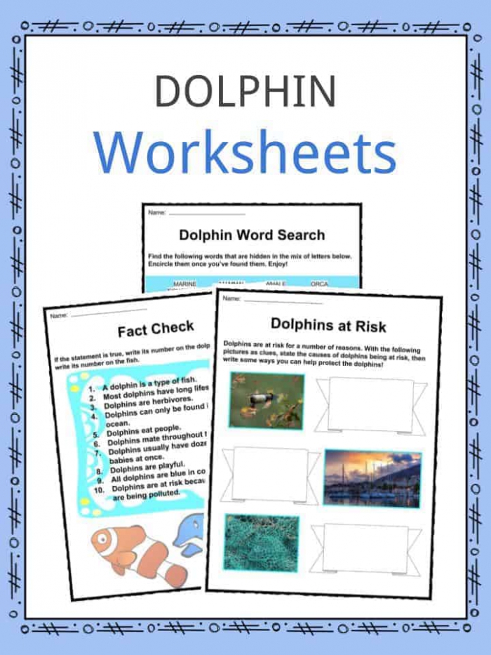 Dolphin Facts  Worksheets  Species   Habitat For Kids