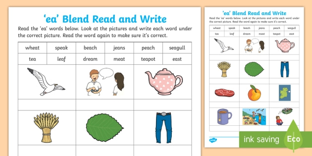 Ea Read And Write Worksheet Teacher Made