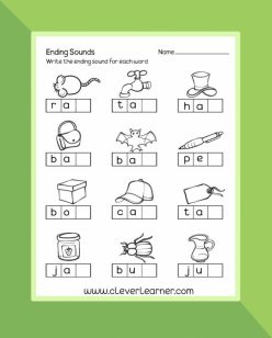Letter Sounds: Writing Words