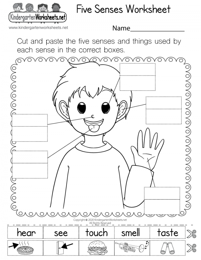 Free Printable Worksheets Kindergarten Five Senses