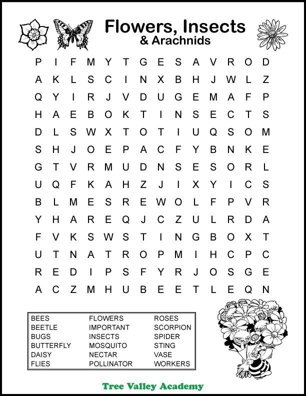 Flowers  Insects   Arachnids Word Search For Kids