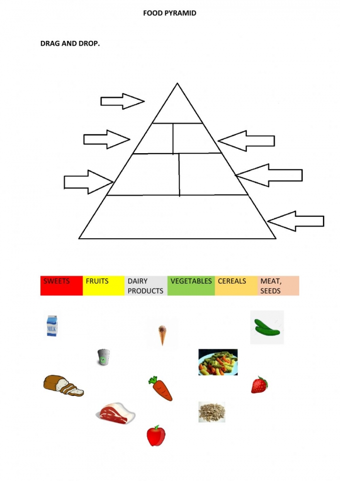 food-chain-pyramid-worksheets-99worksheets