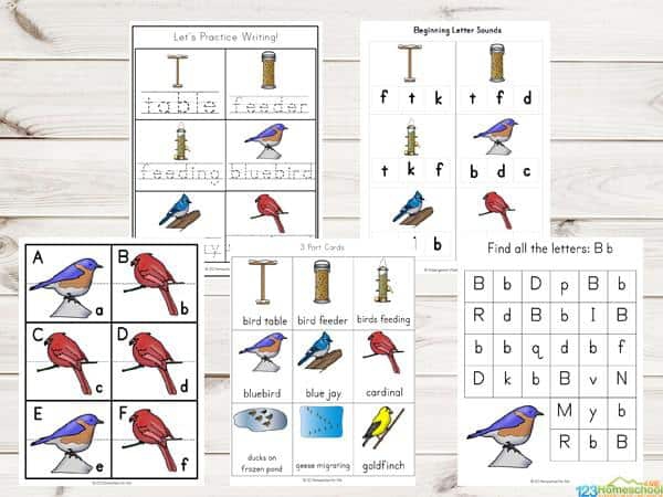 Free Birds In Winter Printable Worksheets