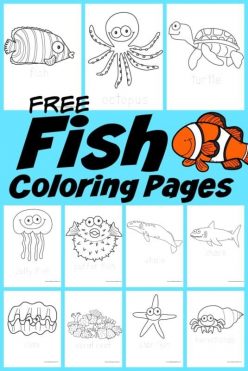 Under The Sea Coloring Page