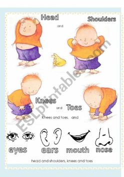 Head, Shoulders, Knees And Toes