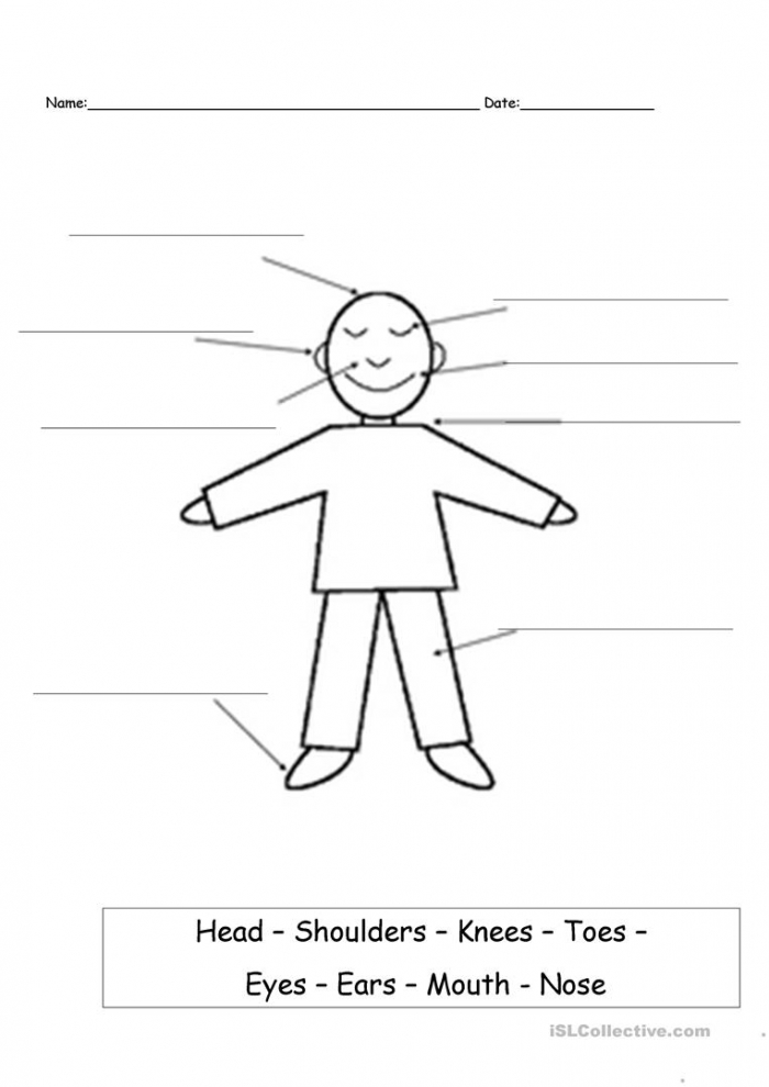 Head Shoulders Knees And Toes