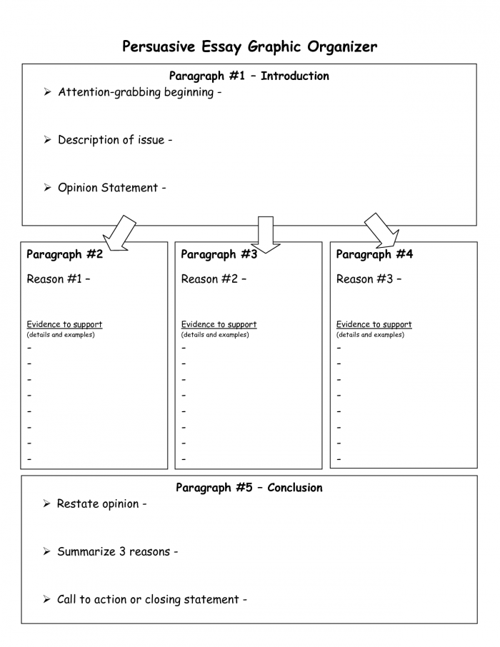 Opinion Essay Prewriting Graphic Organizer