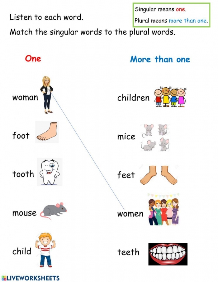 Irregular Plural Nouns Live Worksheet