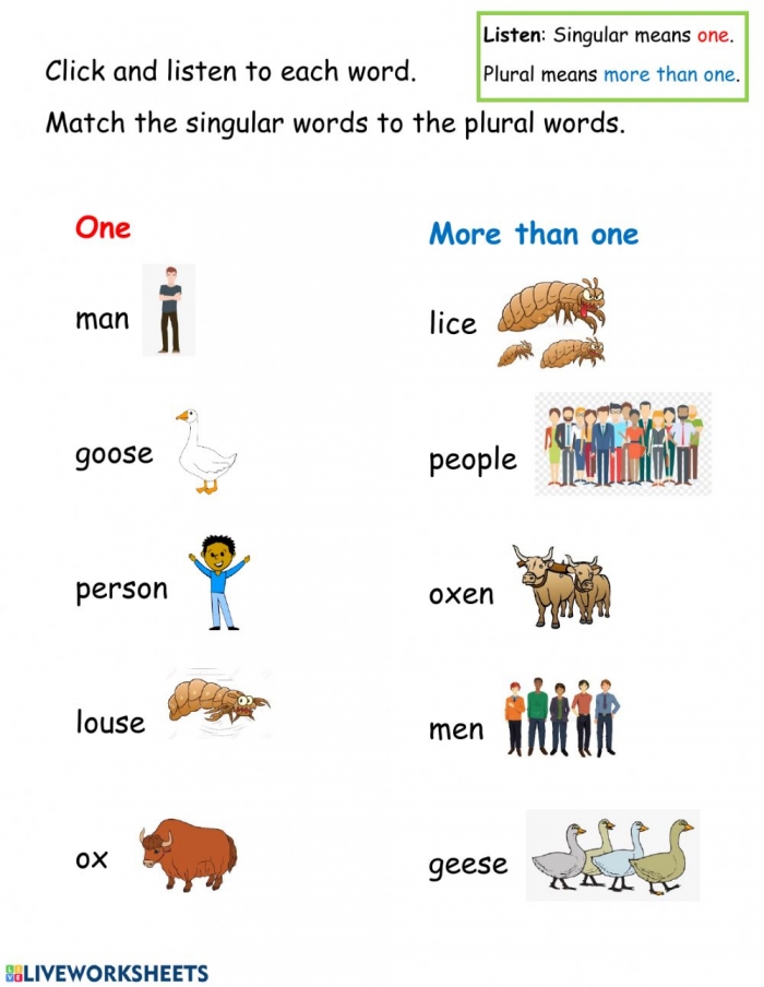 english-worksheet-foreign-plurals-of-nouns-give-the-plural-form-of