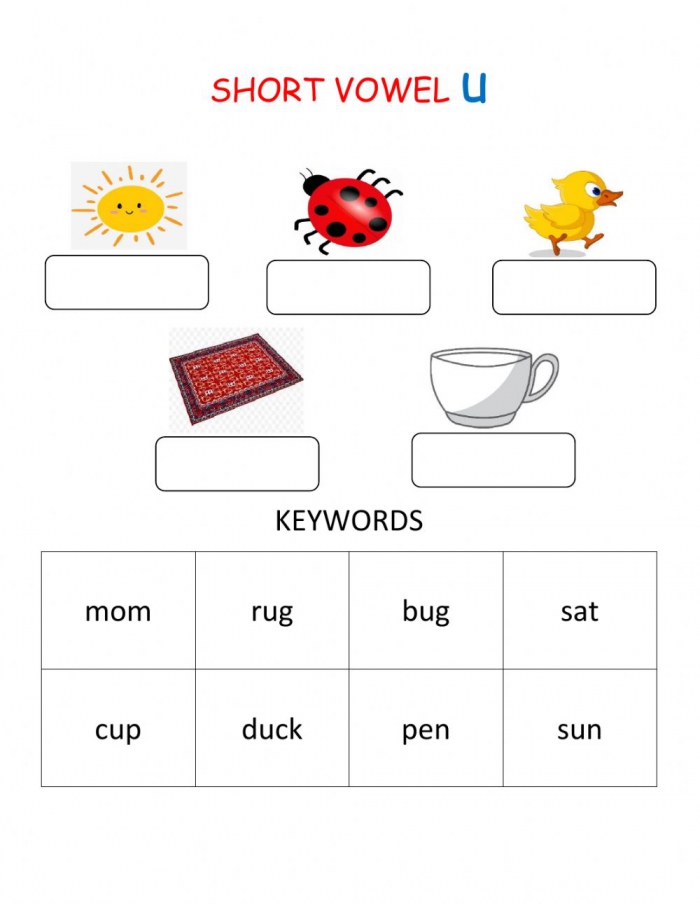 Long Vowel Sound U Worksheet Vowel Sound U Worksheet Powell Adame
