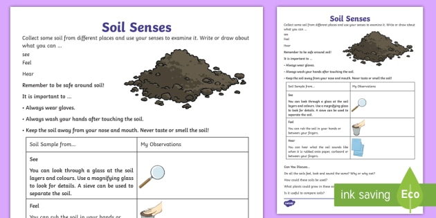 Soil Senses Worksheet Teacher Made