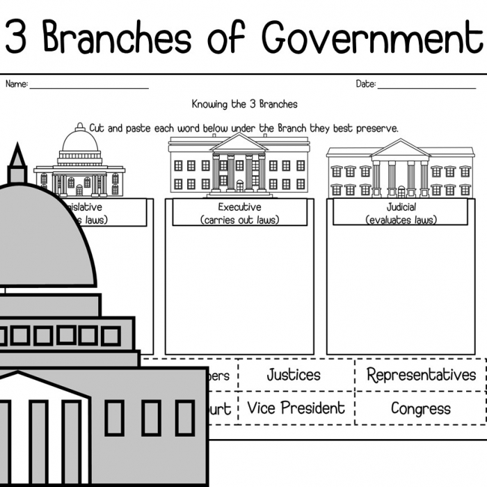American Government Worksheets