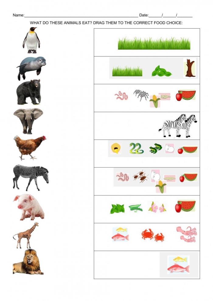 What Animals Eat Worksheets | 99Worksheets What Animals Eat Worksheets | 99Worksheets
