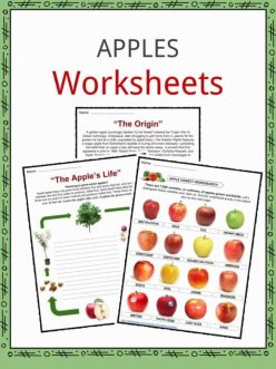 First, Second, Third: An Apple A Day
