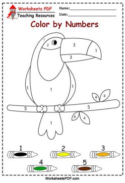 Color By Number: Toucan