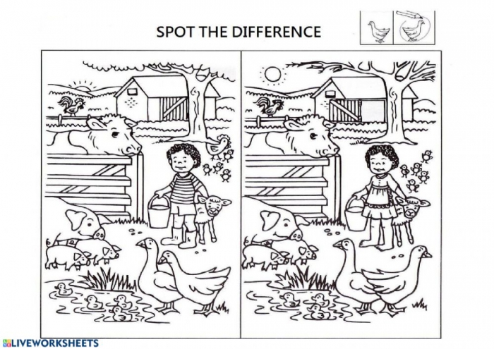 Find The Differences Worksheet