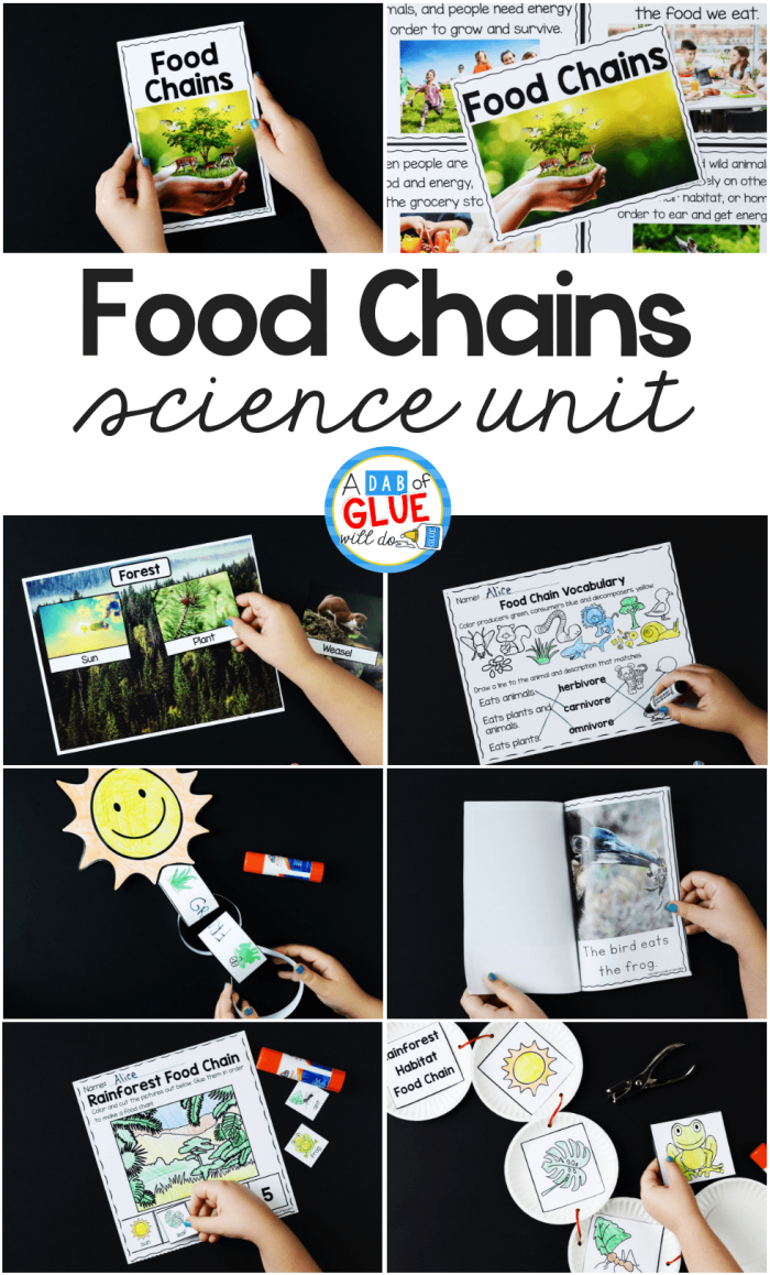 Food Chains