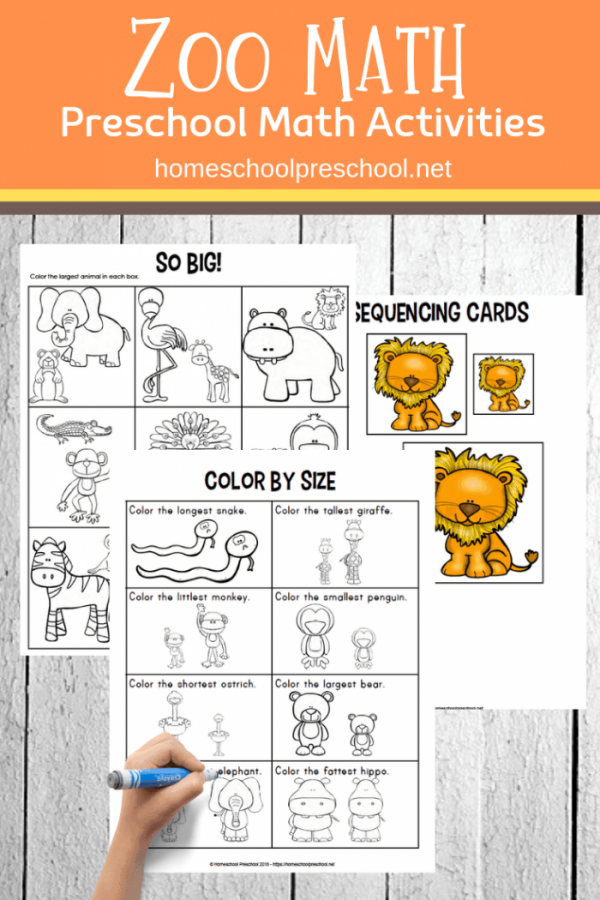 Animal themed math worksheets middle school pdf