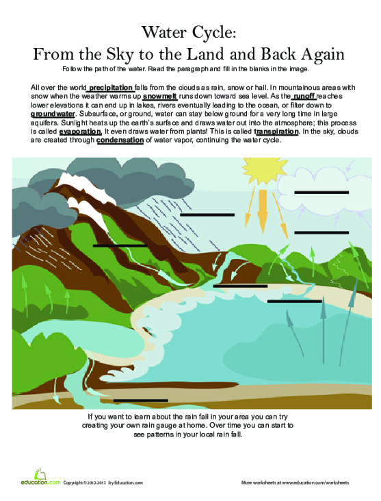 Got Water How The Water Cycle Works