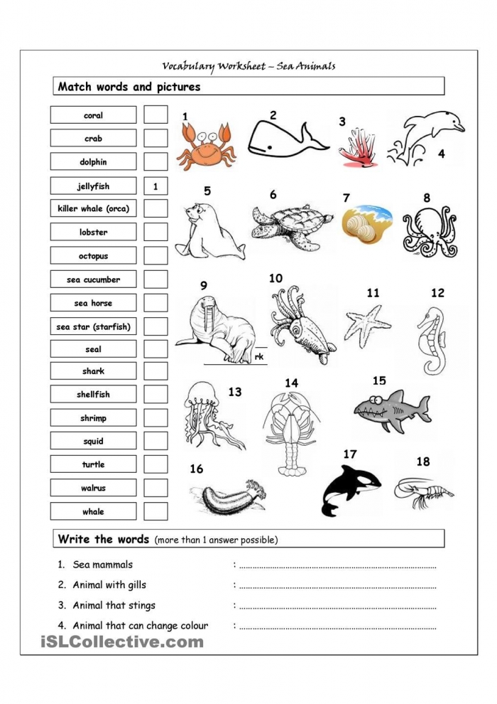 Learning About Animals For Kids Worksheets