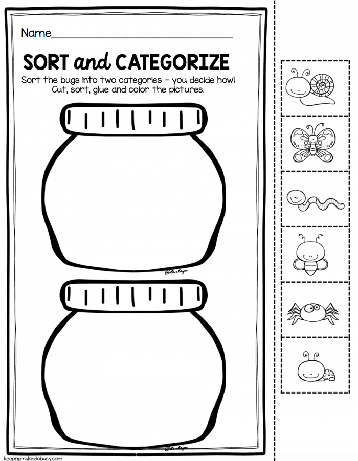 cut and categorize 2 worksheets 99worksheets