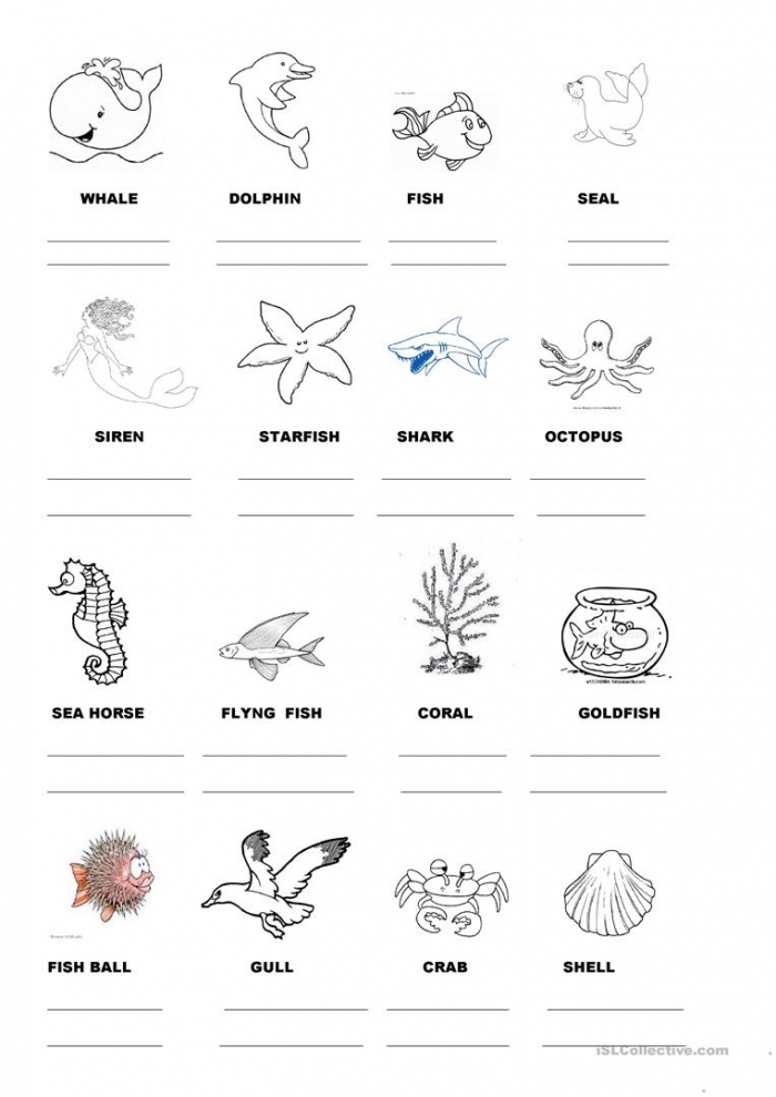 Name Sea Animals