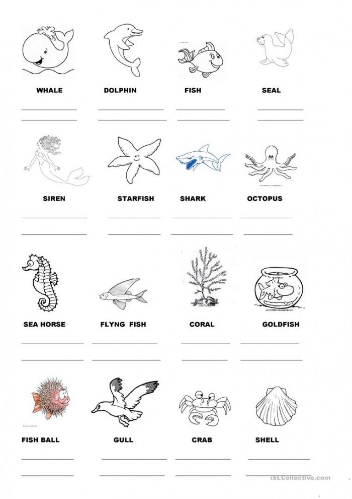 Name Sea Animals