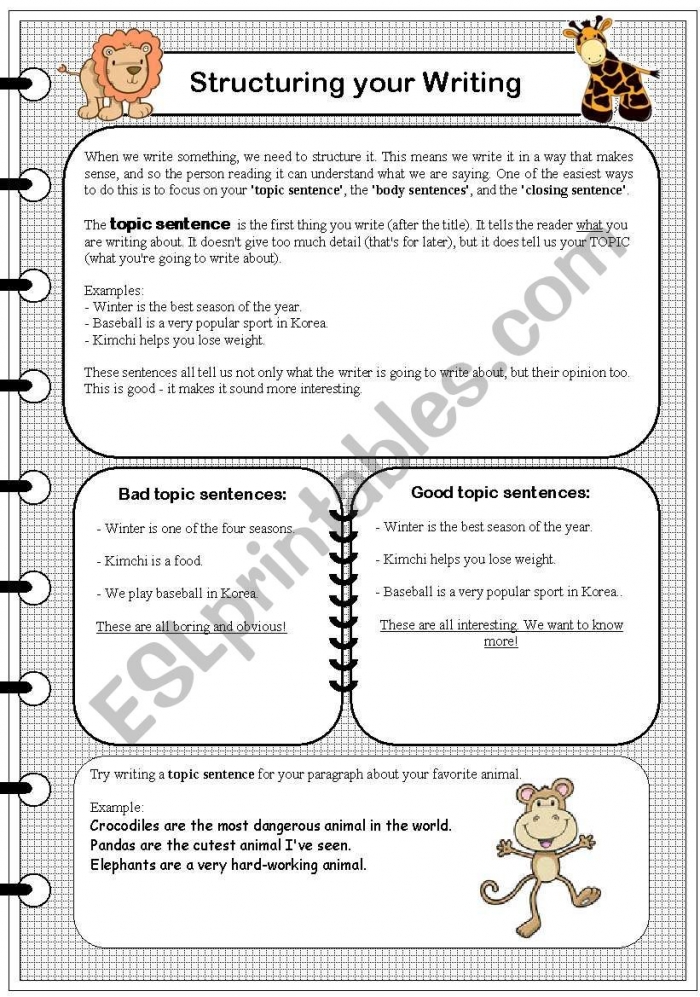 Paragraph Structure