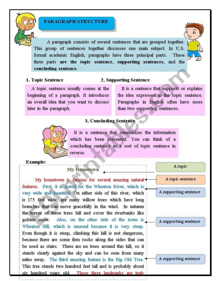 Paragraph Structure