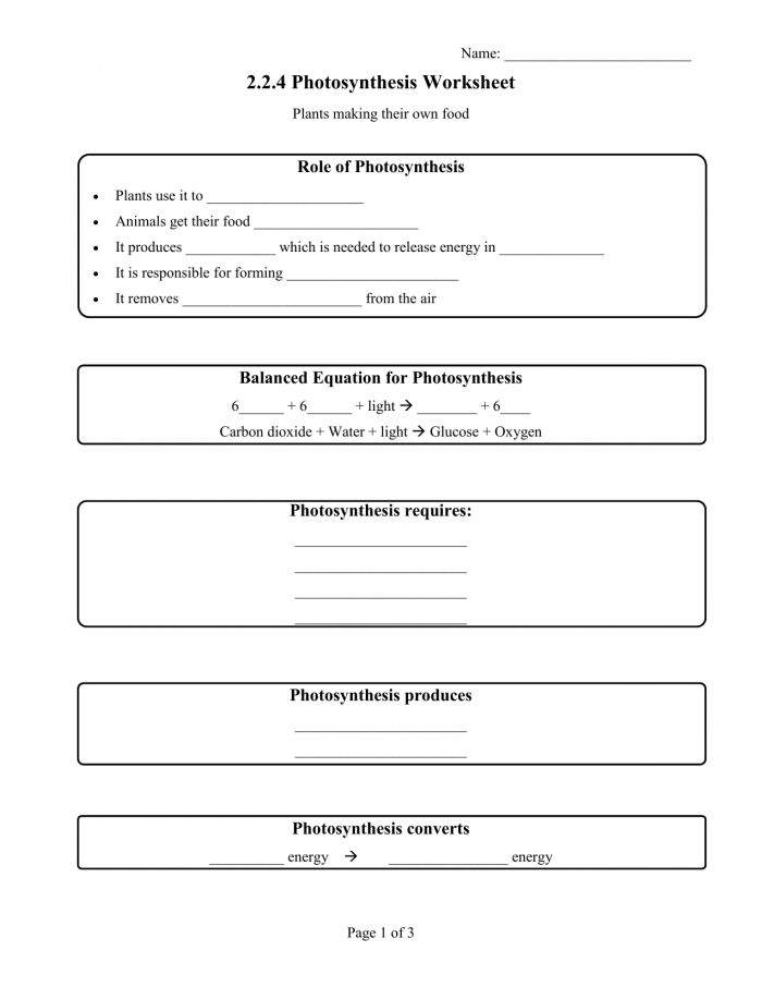 Photosynthesis Worksheet