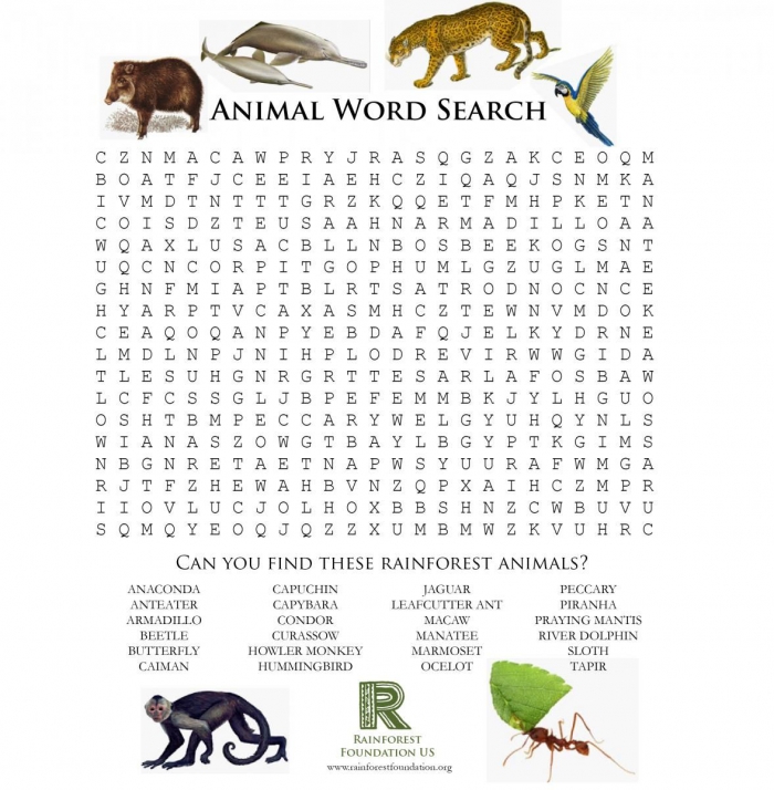Rainforest Games And Worksheet Activities